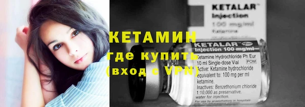 хмурый Аркадак