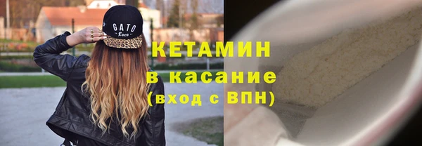 хмурый Аркадак