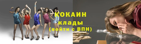 хмурый Аркадак