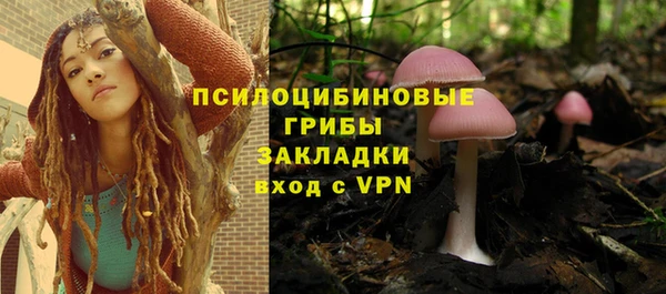 хмурый Арсеньев