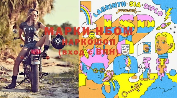хмурый Арсеньев