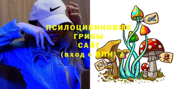 эйфоретик Алексин