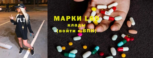 хмурый Аркадак