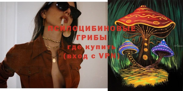 хмурый Алексеевка