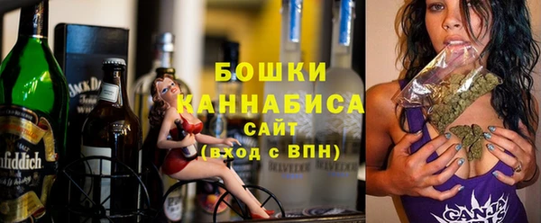 хмурый Аркадак