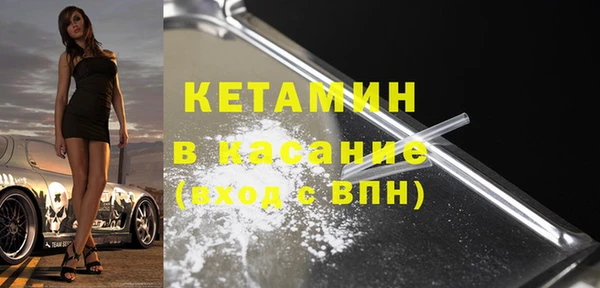 хмурый Аркадак