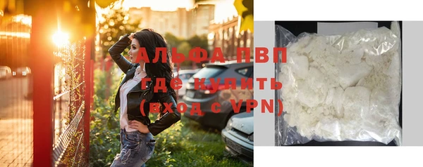 хмурый Аркадак