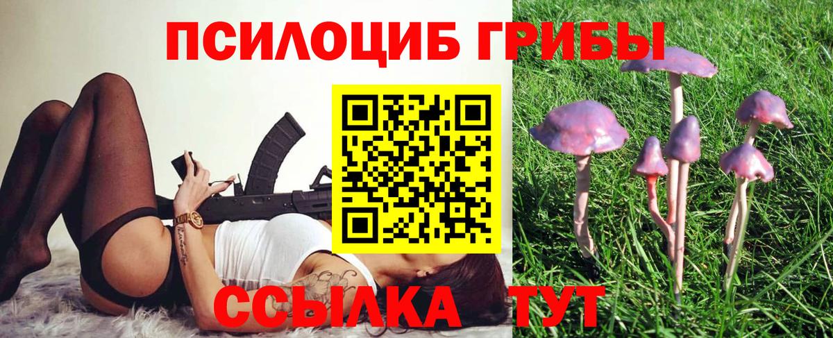 Псилоцибиновые грибы прущие грибы Мурманск