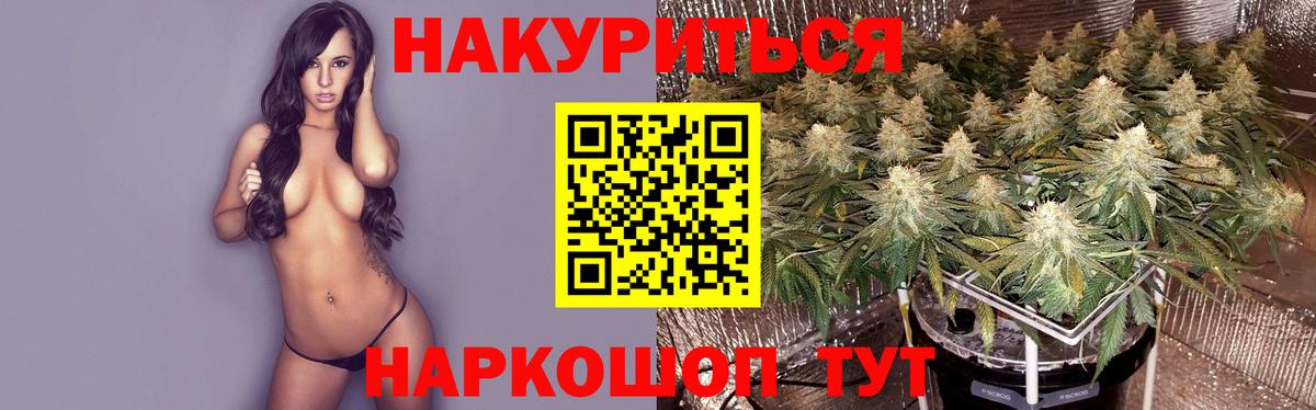 Бошки марихуана OG Kush  Вход с VPN  Мурманск  Марихуана планчик 